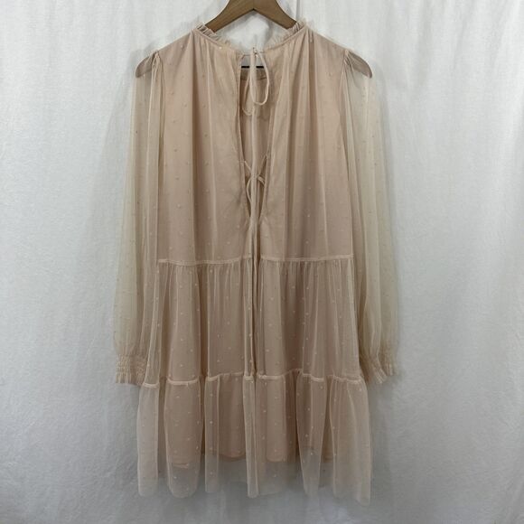 H&M Pink Swiss Dot Tulle Balletcore Romantic Semi-Sheer Dress Womens Size M - Picture 2 of 9
